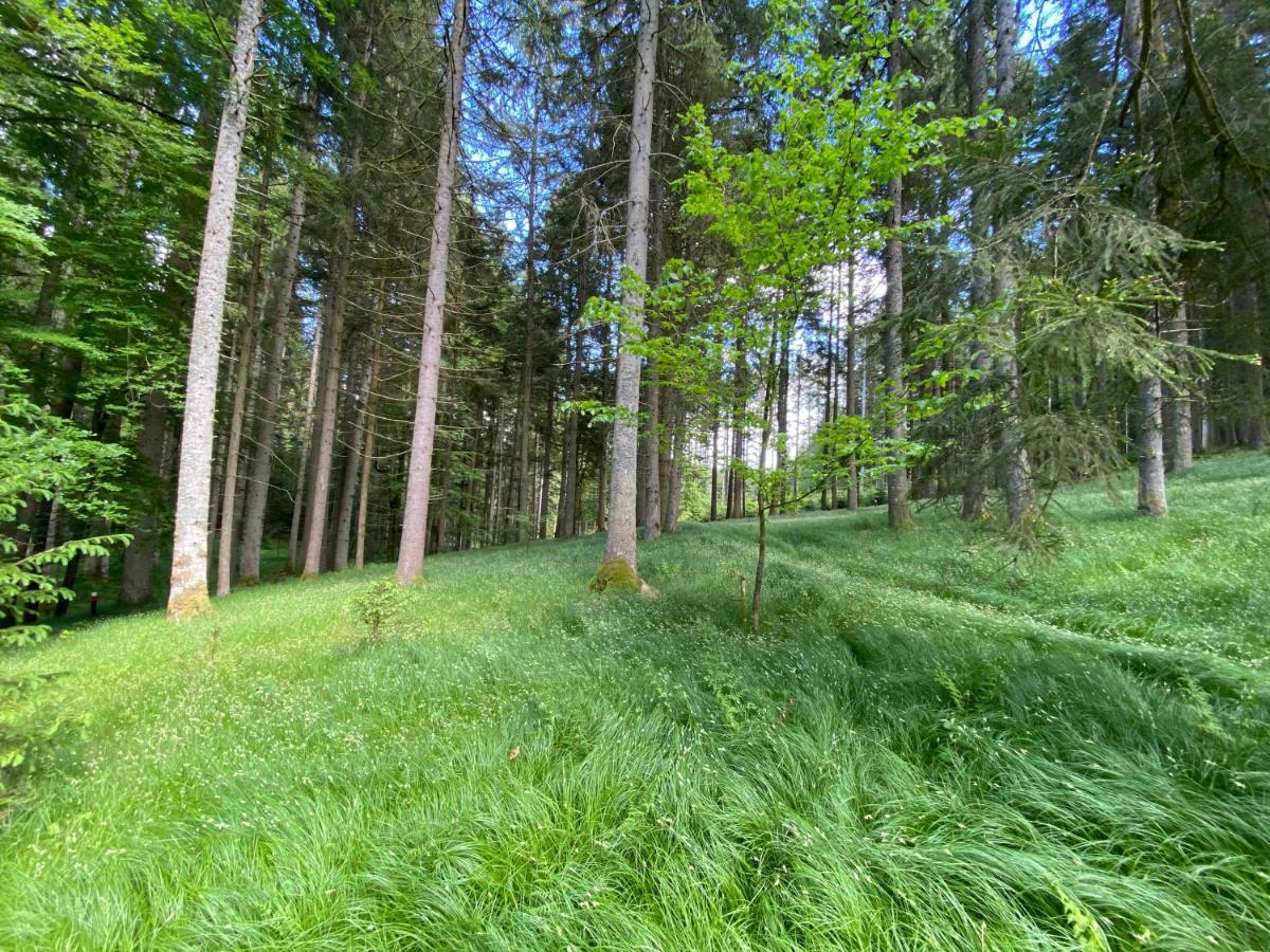Ferienhaus Plattenstein Kirchberg  Екстер'єр фото