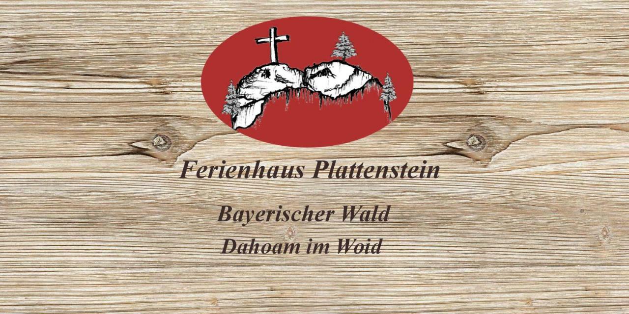 Ferienhaus Plattenstein Kirchberg  Екстер'єр фото